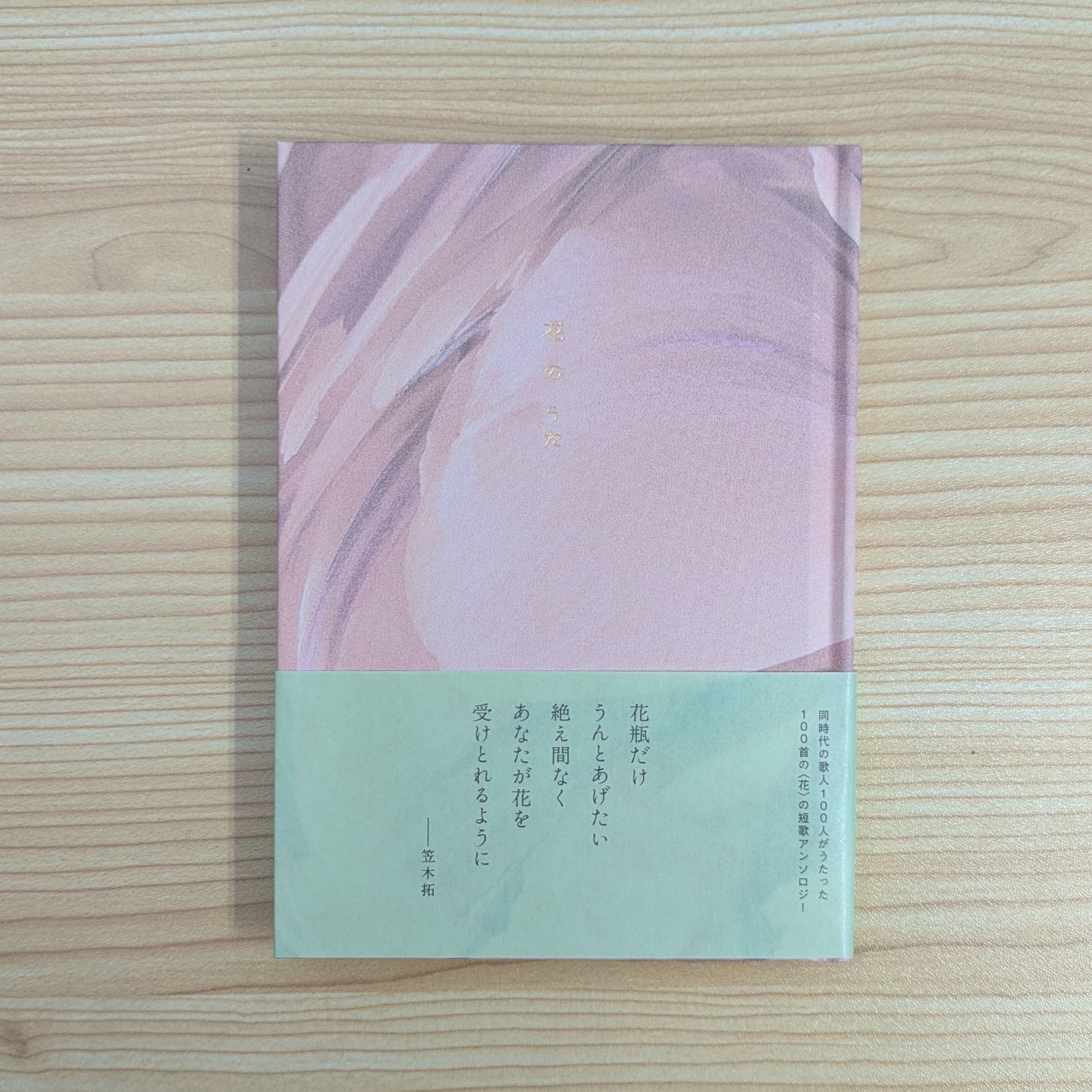 古本】ダイブ・イン・シアター｜柴田聡子 | 本屋・文日和