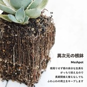 Meshpot HIGH 8cm ホワイト