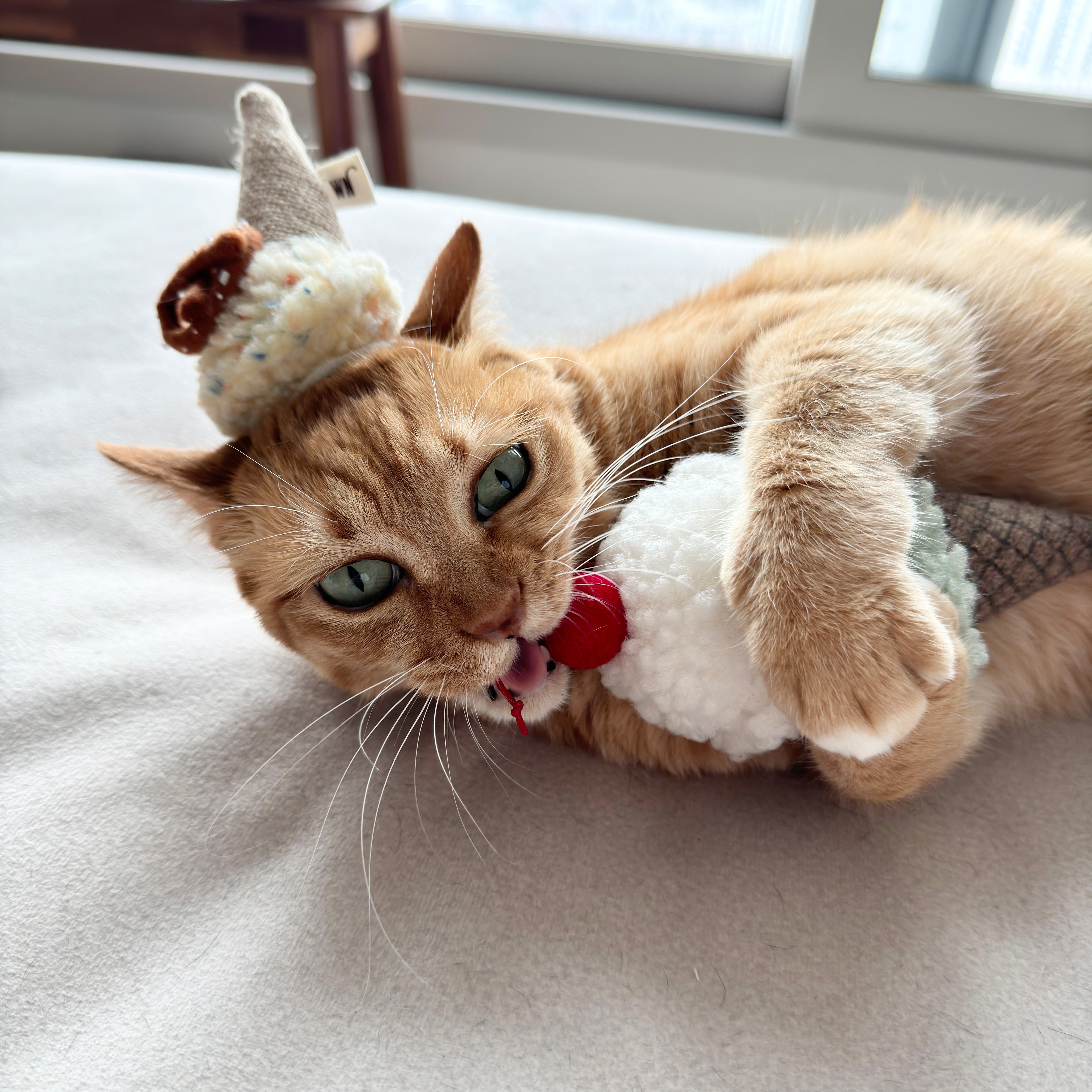 CAT ice cream from WETNOSE 猫 おもちゃ キャットニップ | nyanpets