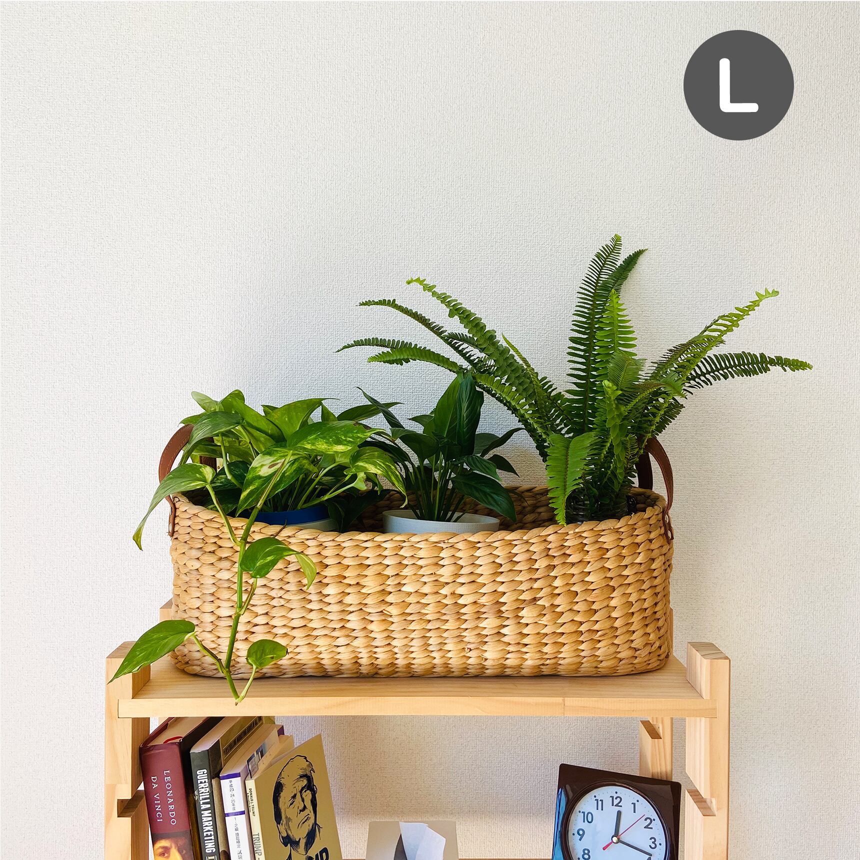 ウォーターヒヤシンス バスケット(WHA-120L)