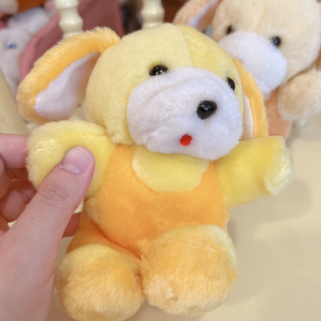 dogの画像03