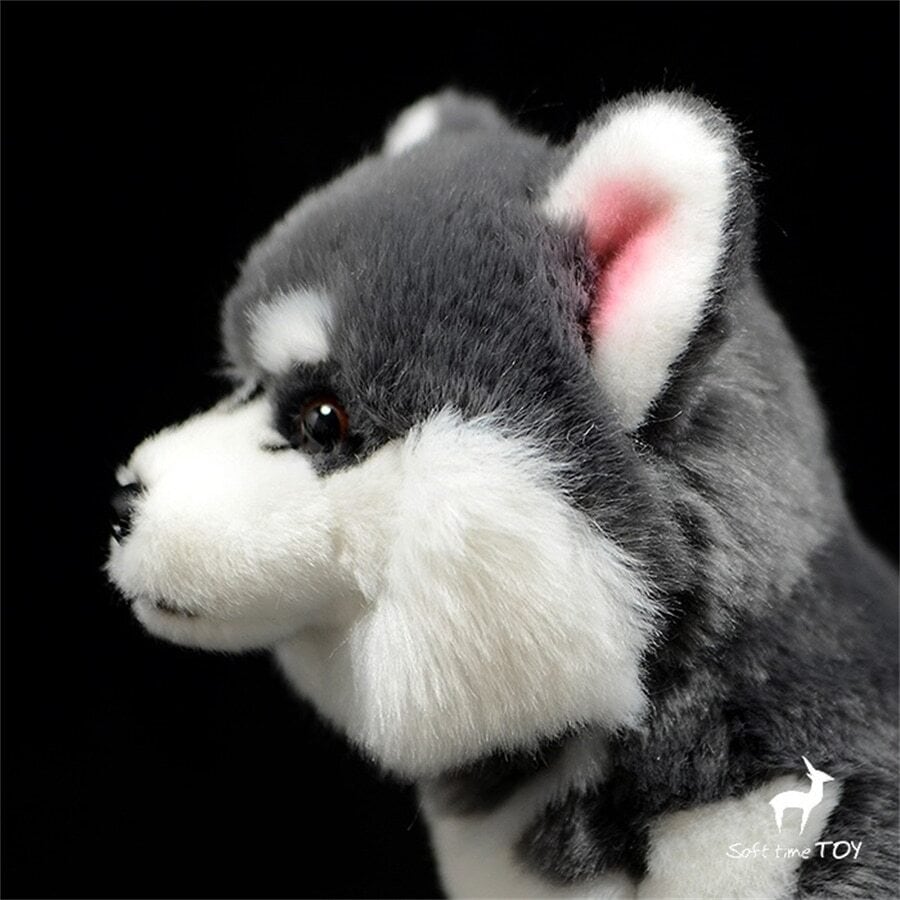 ☆アラスカン・マラミュート☆ ぬいぐるみ・ | ぬいぐるみ専門店 くろ