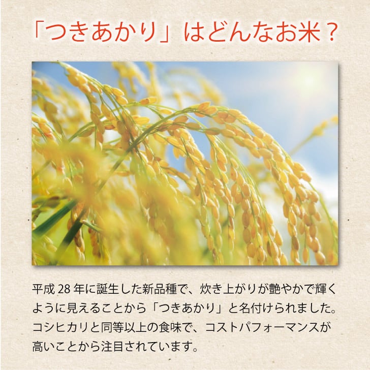 令和7年産 福島県産 つきあかり 5㎏ | みずほ食糧