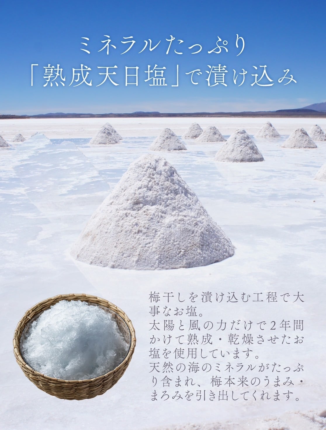 天日塩と梅だけの紀州南高梅 梅ボーイズ無添加⁄紀州南高梅天日塩と赤