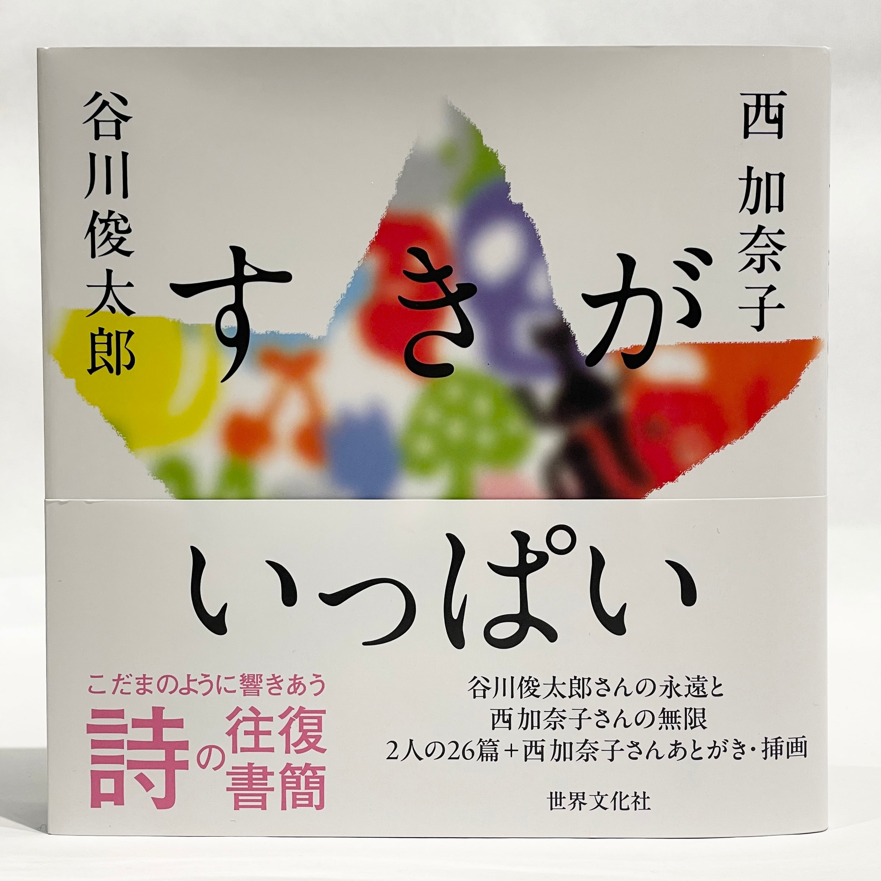 創造された古典―カノン形成・国民国家・日本文学【古本】 | 七月堂古書部