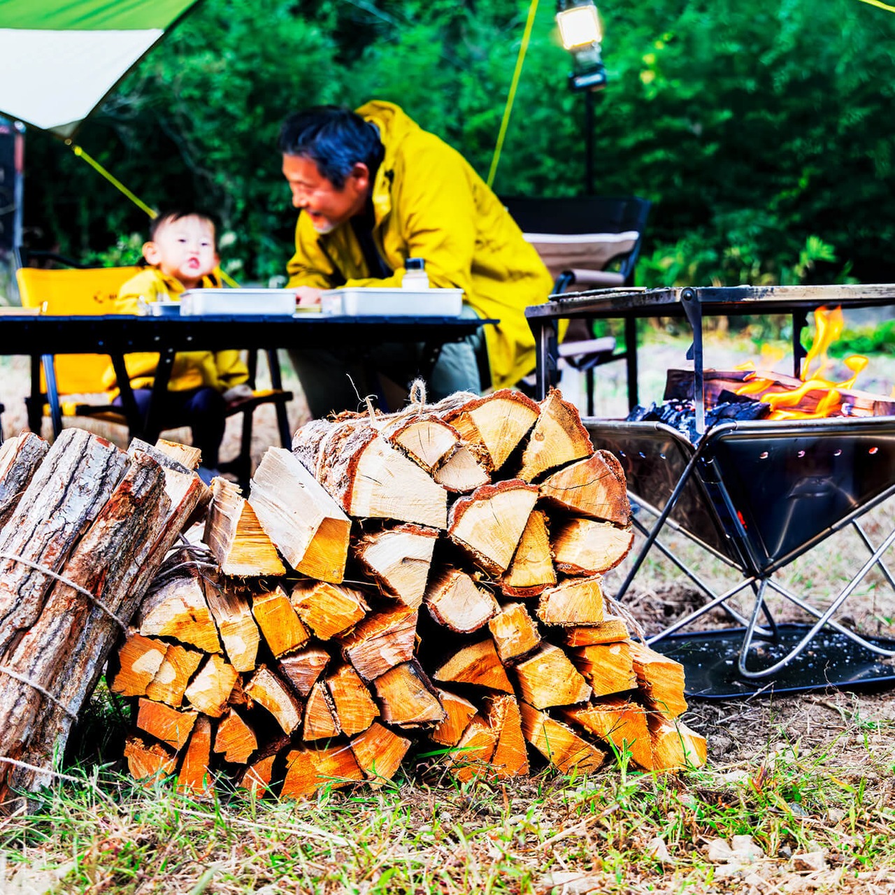 ［8kg］スギの薪（35cm：中割り）針葉樹　※含水率20％以下 - 11