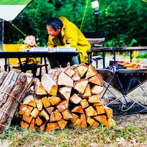 ［8kg］スギの薪（35cm：中割り）針葉樹　※含水率20％以下