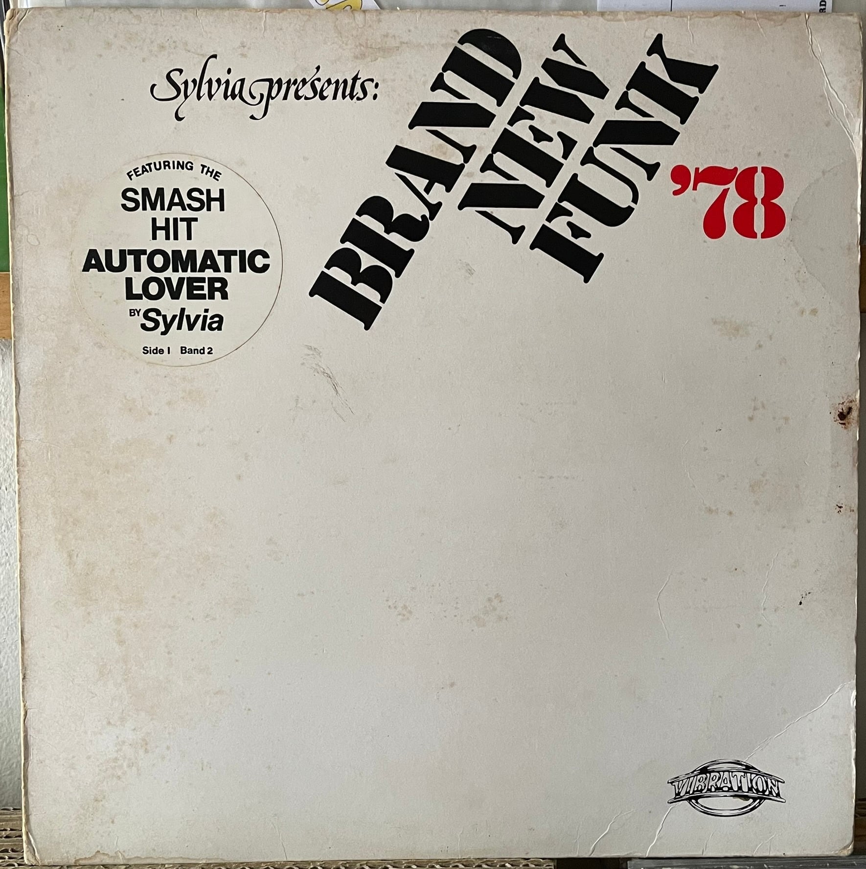 Shintaro Sakamoto(坂本慎太郎) 