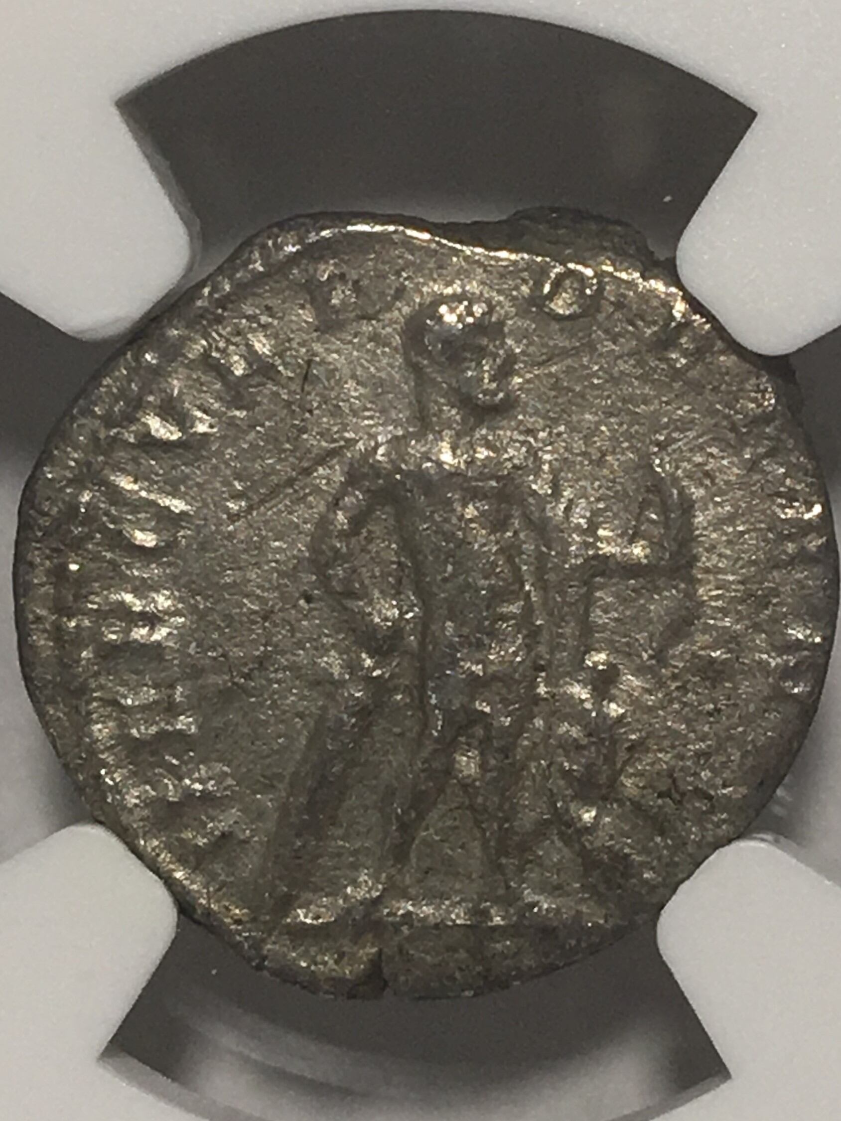 ローマ帝国 デナリウス銀貨 たぶんセウェルス セプティミウス・セウェルス NGC鑑定 Ch XF デナリウス銀貨 ローマ