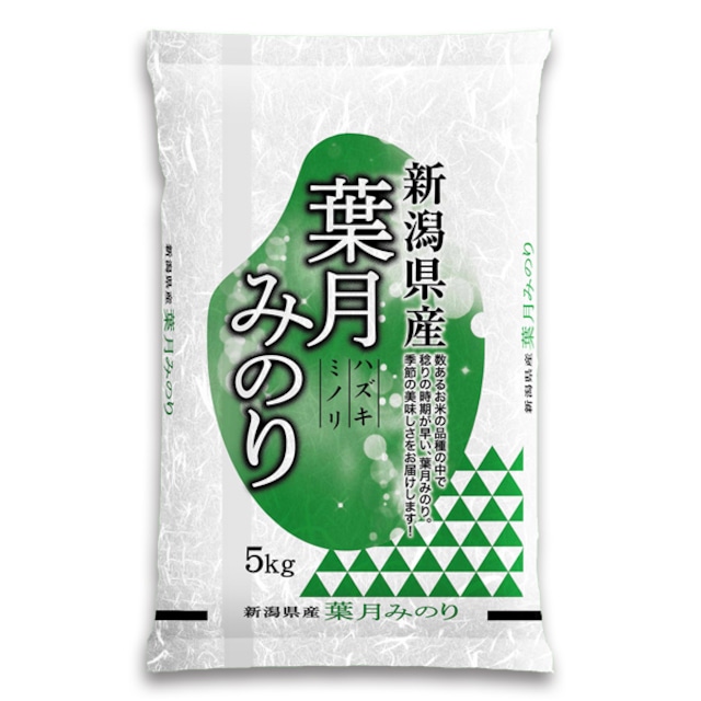 【新米 令和5年産】新潟産 葉月みのり 5kg 越後極早生 数量限定