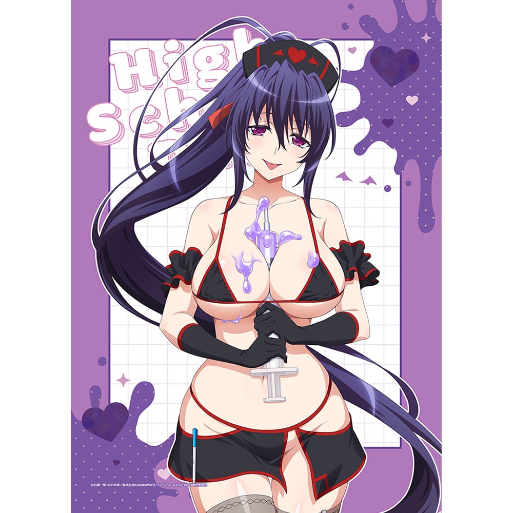 ハイスクールD×D HERO 描き下ろしB2タペストリー(姫島朱乃/黒ナース)Wスエード