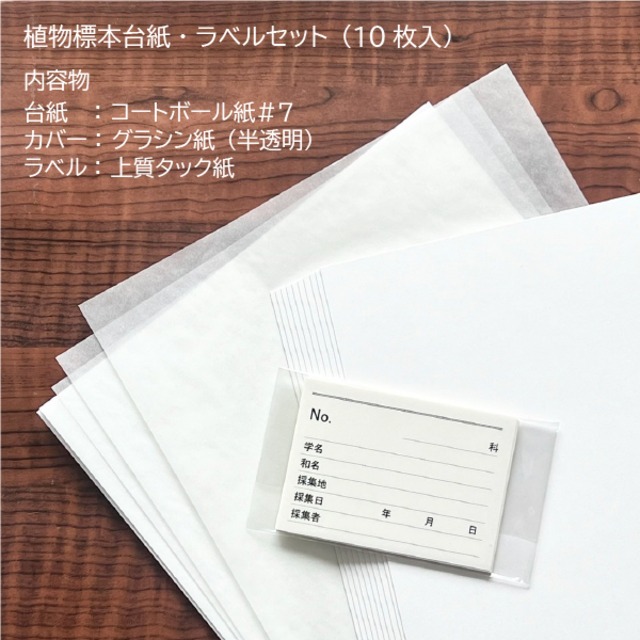 植物標本台紙・ラベルセット（10枚入）標準サイズ/1セット | kamitsuuhan