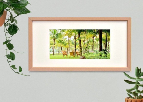 トロピカルガーデン