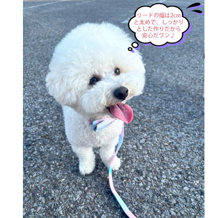リボン首輪＆リードセット】首輪 リード 犬用 犬 リボン 可愛い
