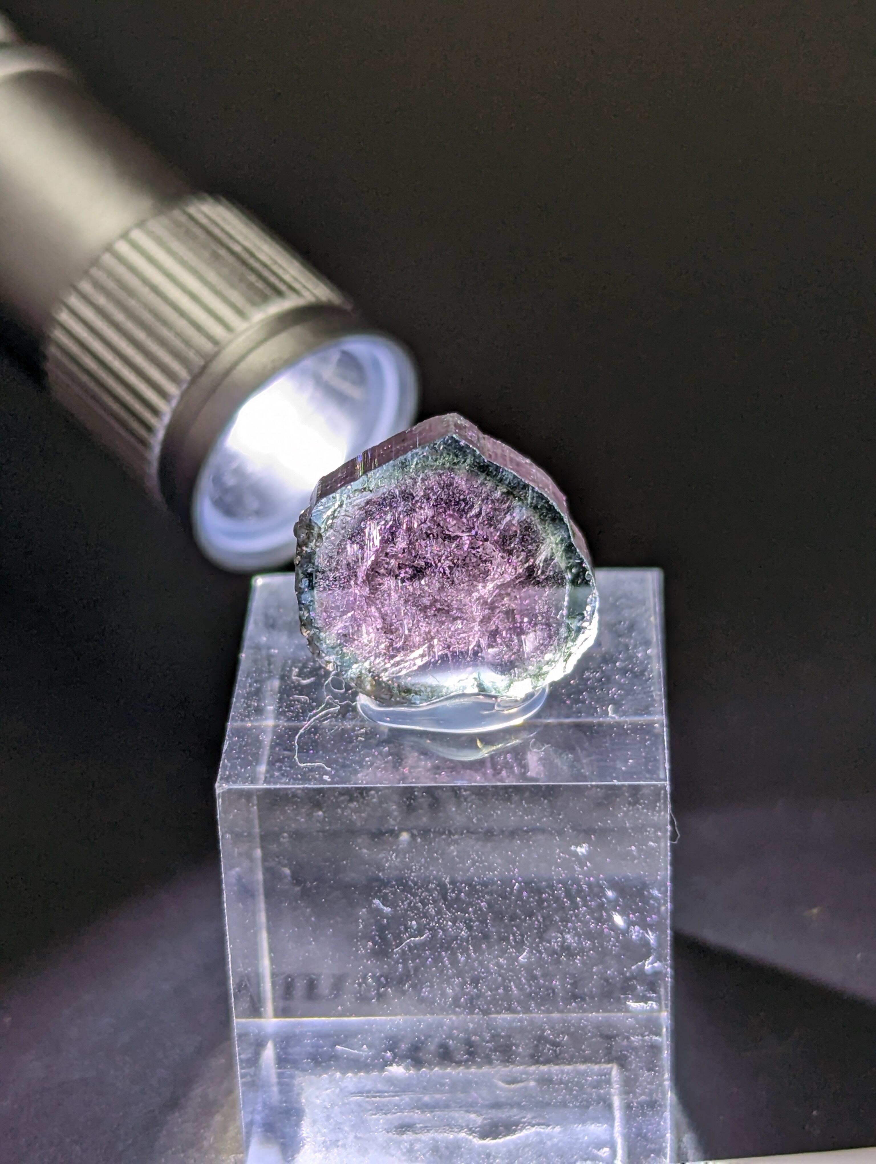 R O S A 様 専用 ロージーローザ/ROSYROSA 公式サイト ～メイクを