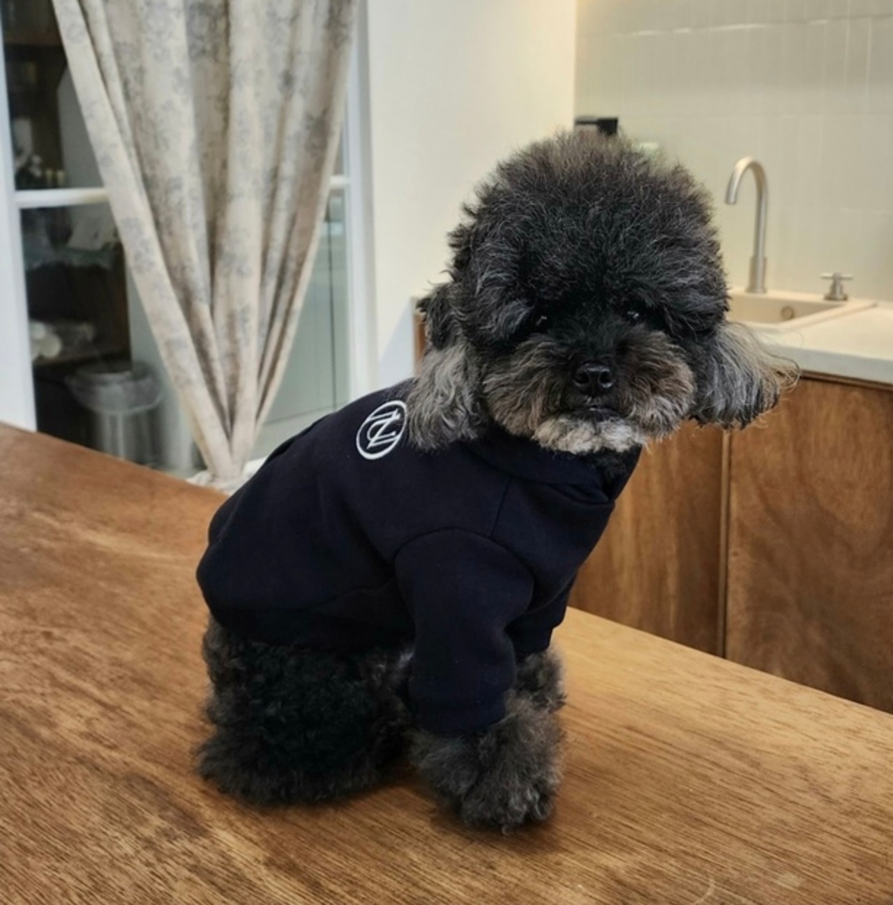 即納【nounnou】Logo Hoodie Warm(袖あり)／わんちゃん用(2color)