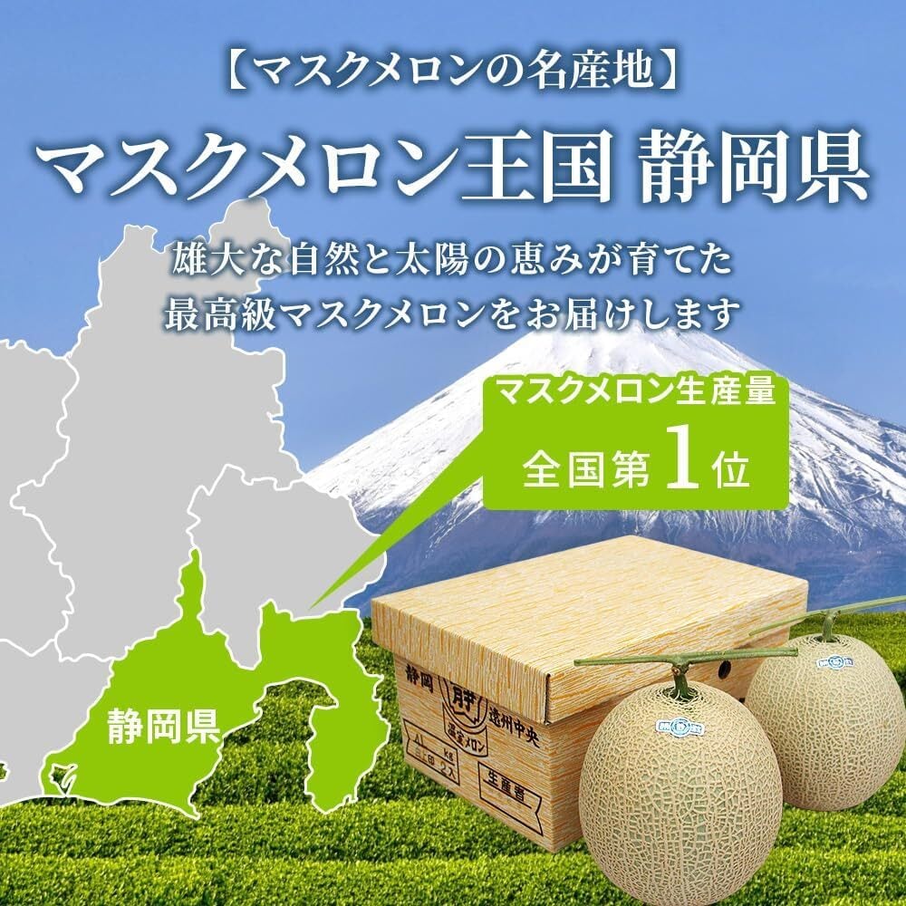 熊本県産他】マスクメロン（2玉） | 西村青果オンラインストア
