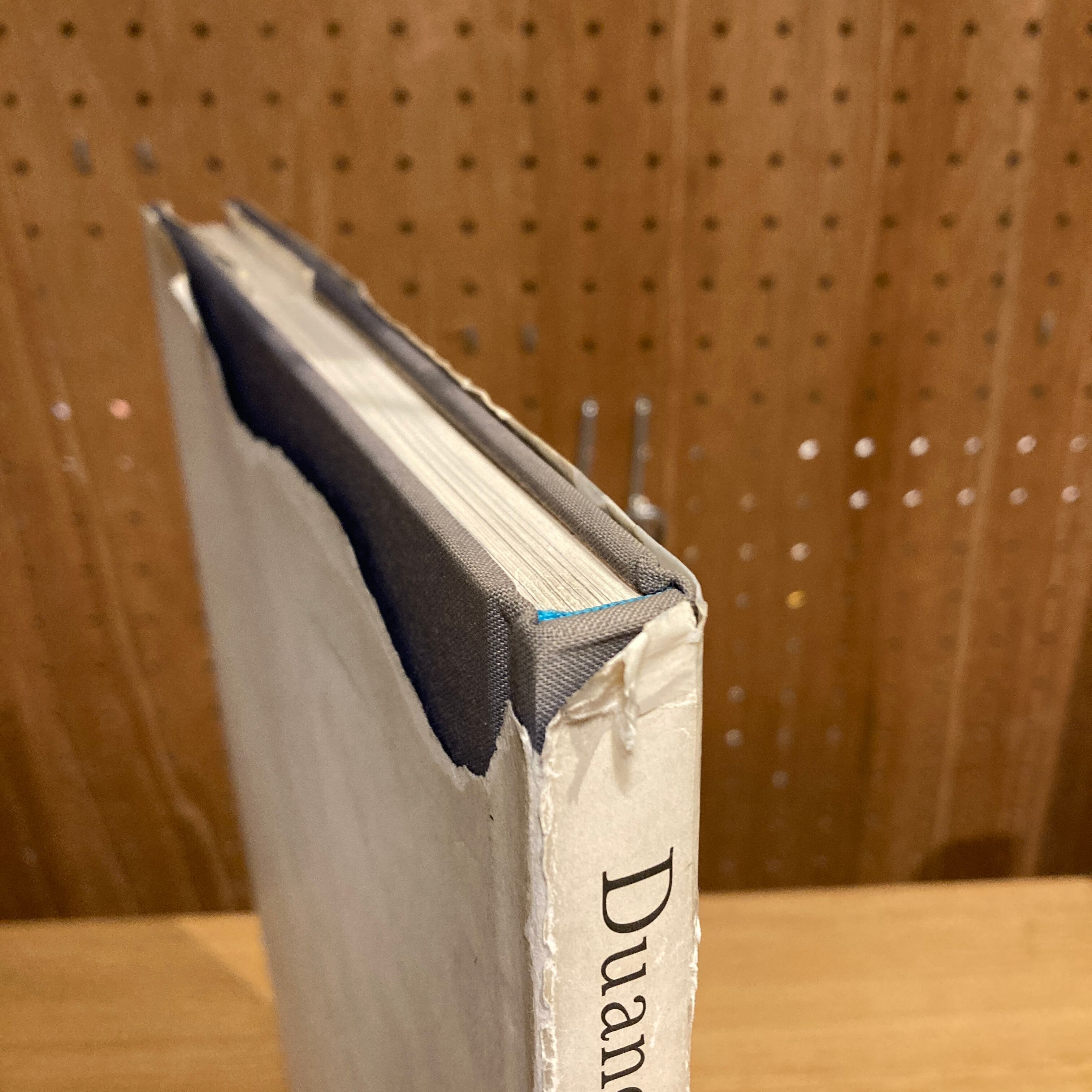 デュアン・マイケルズ「The Nature of Desire」1986年　初版 デュアン・マイケルズ「The Nature of Desire」1986年 初版