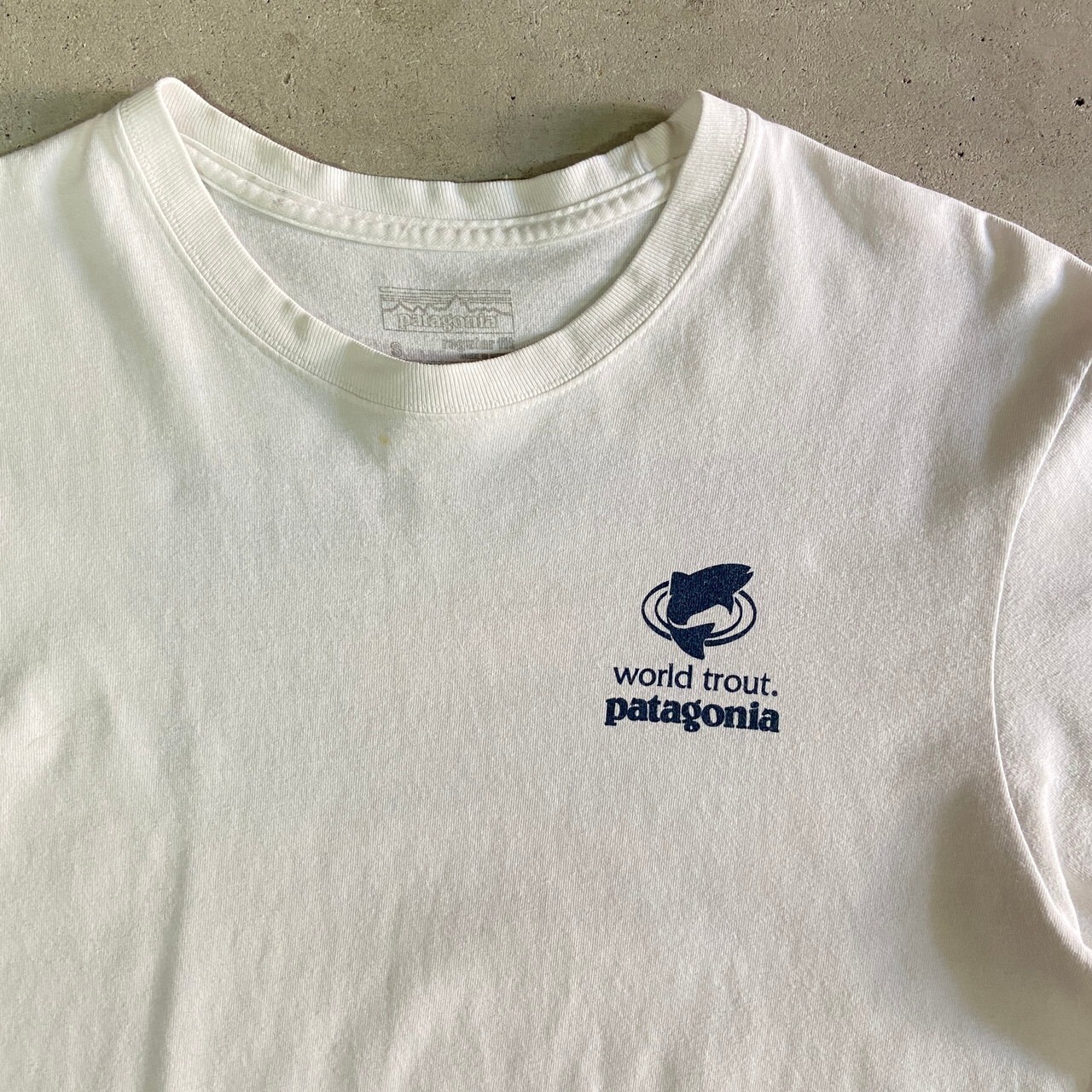 patagonia パタゴニア ワンポイントロゴ バックプリント Tシャツ 