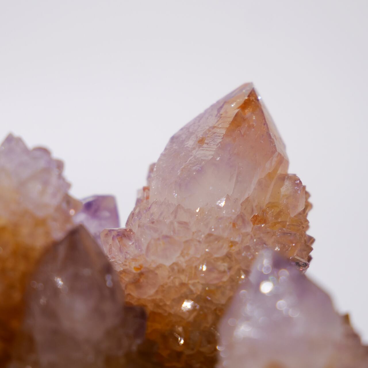 カクタス スピリット アメジスト アメシスト / 原石 標本【BIG_2