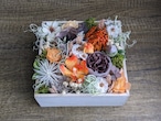 ウォールガーデンBOX 白箱