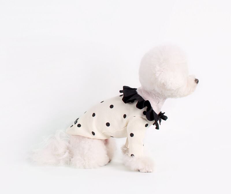 ドットフリルニット S ~ XL 2color / 犬服 ドッグウェア 小型犬 中型犬 犬の服 わんちゃん ペット