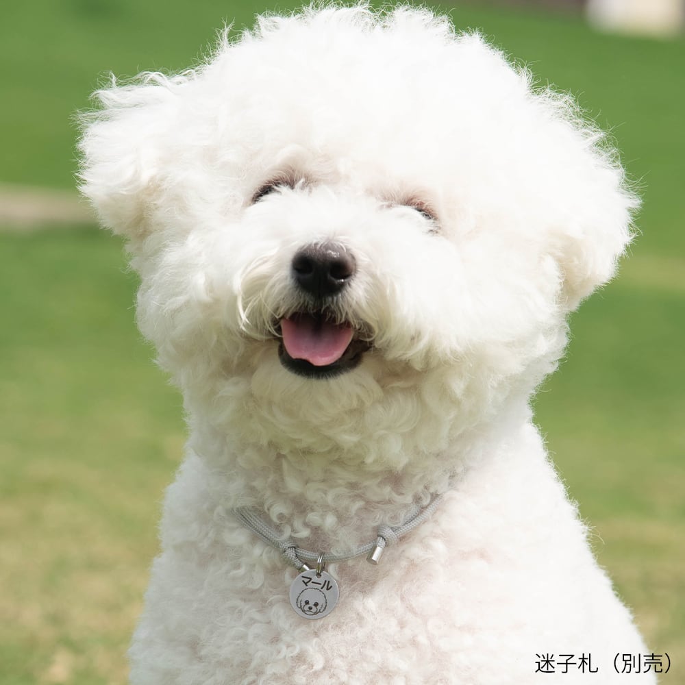 犬 猫 ネックレス｜犬用 迷子札 対応・超軽量3.7g・ゆったり パラ