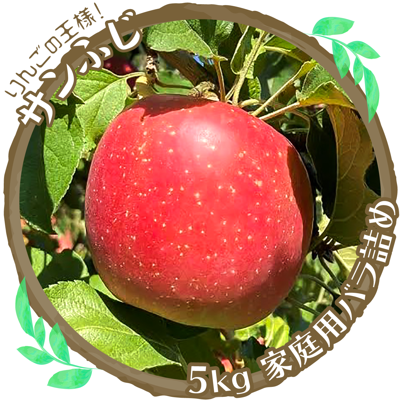 りんご（サンふじ　家庭用バラ詰め5kg）　せじ農園