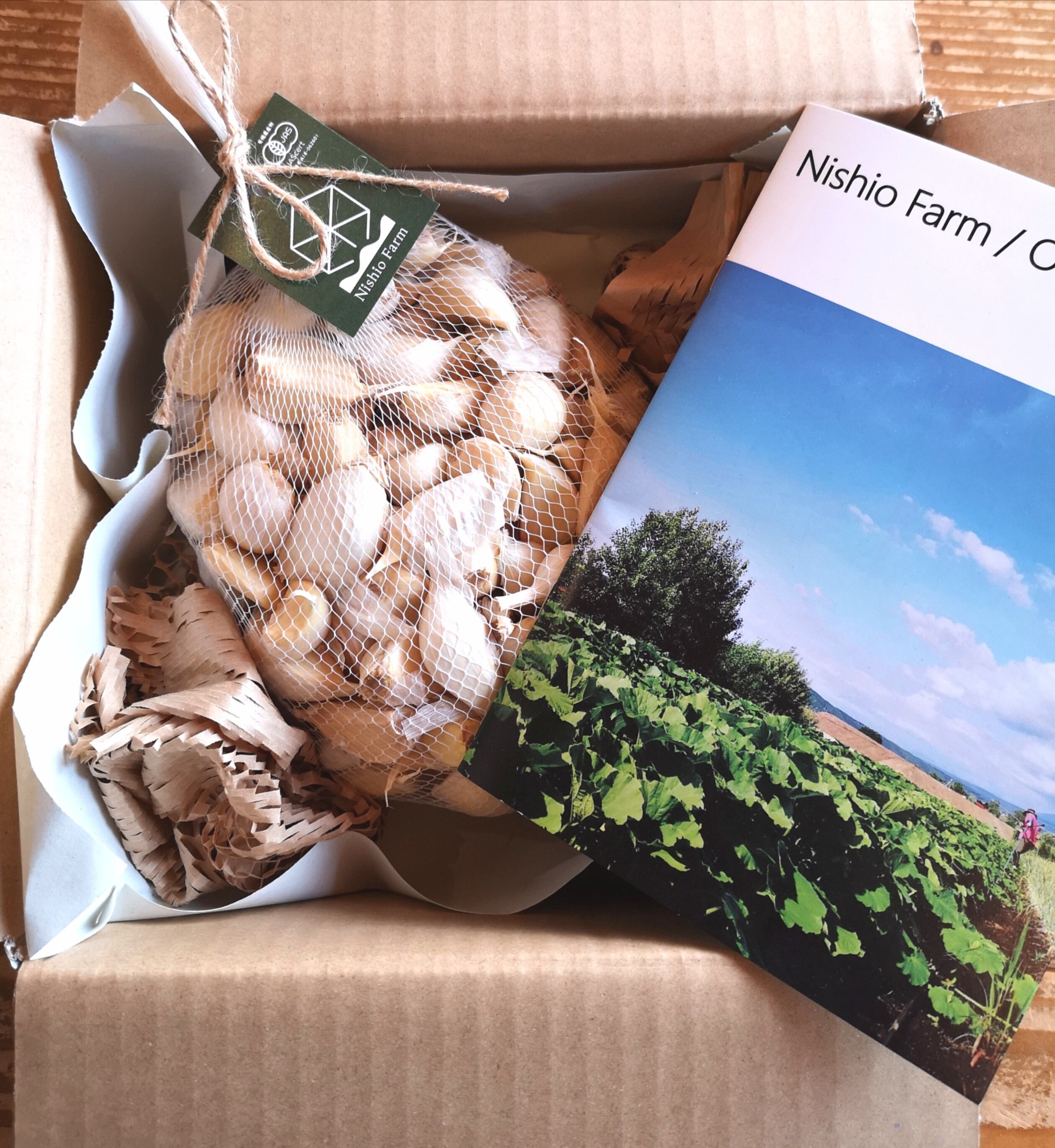 ホップ特大苗　『カスケード』 ホップ苗（カスケード） | Nishio Farm