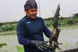 【リニューアル!】野菜計画の"濃い味"野菜箱