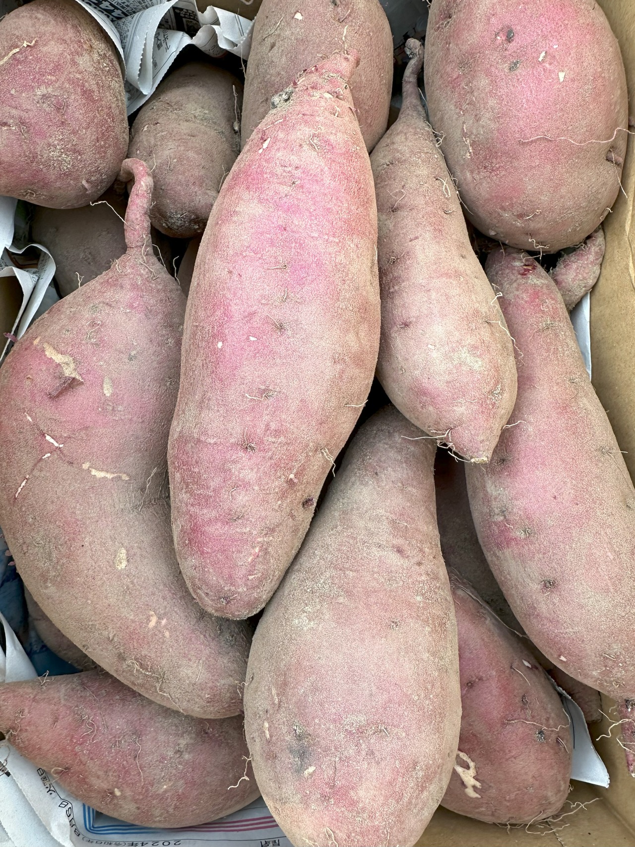 【農薬化学肥料不使用】一カ月熟成ねっとり紅はるか・皮までおいしい 3キロ