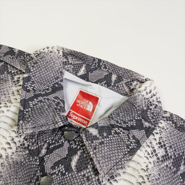 Size【M】 SUPREME シュプリーム ×THE NORTH FACE 18SS Snakeskin