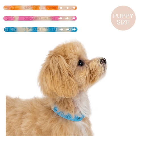 PUPPY'S TRAINING SILICONE COLLAR　パピーズトレーニングシリコンカラー