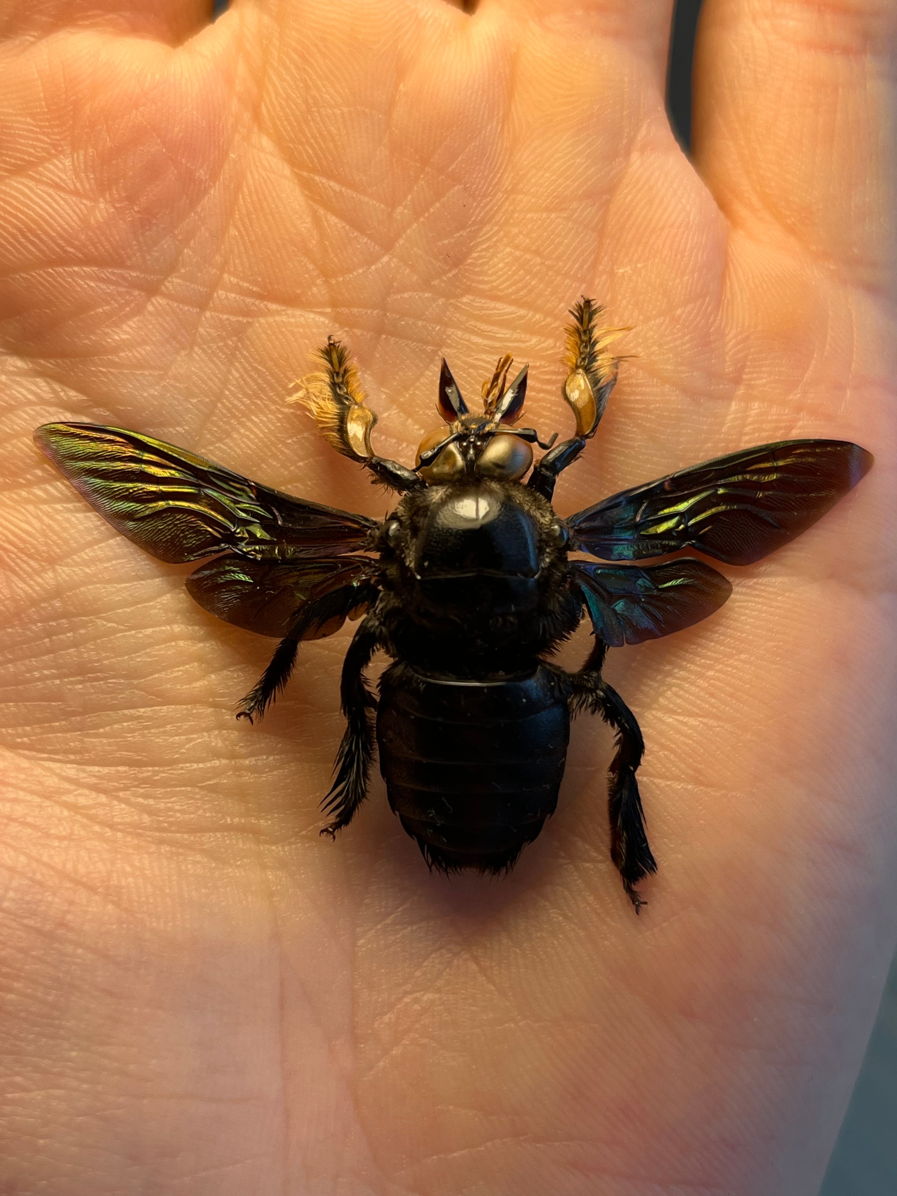 4b9373100aef8c10c7f9efa80b4a26