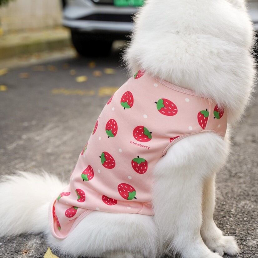 3XL~6XL いちごやくまさん 5種類の可愛い柄のあったかノースリーブ