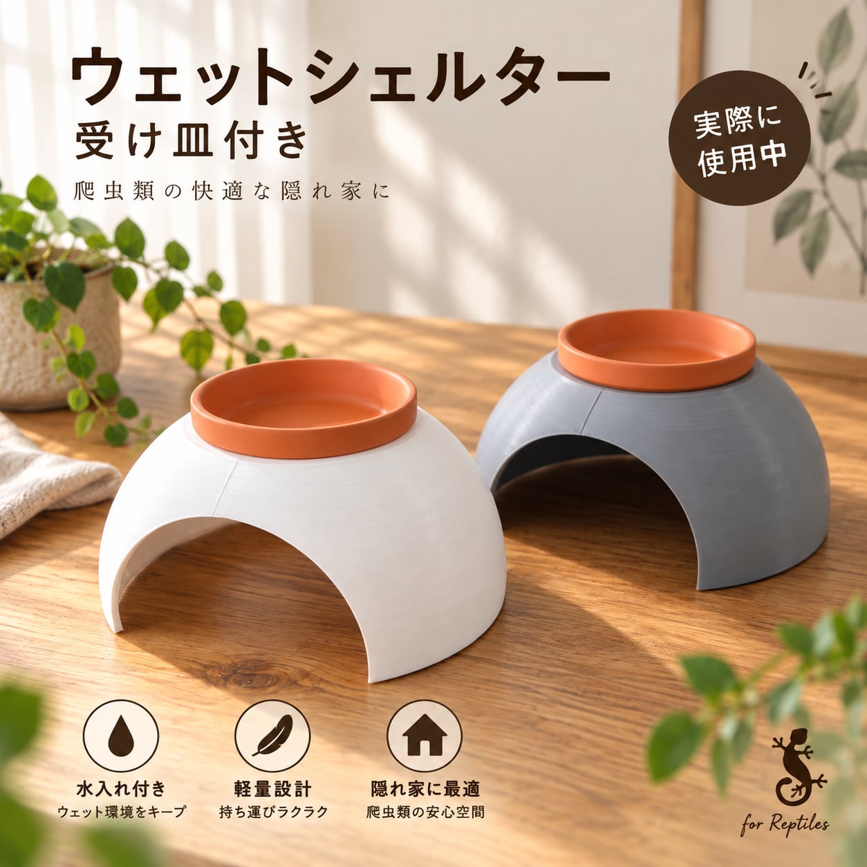 爬虫類用 ウェットシェルター 受け皿付き 隠れ家