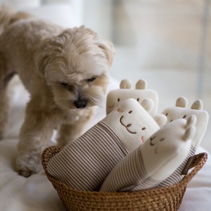 【即納】Organic Tofu Doll for Dog