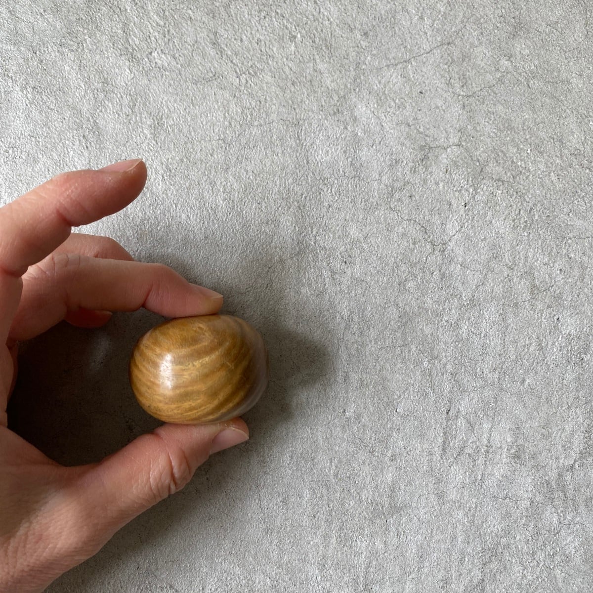 グリーンパロサント にぎたま ノーマル② | Coloridas コロリーダス