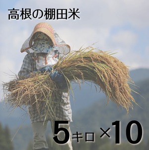 【特注品】高根の棚田米 5㎏×10個（東北・関東・信越・北陸・東海発送限定）