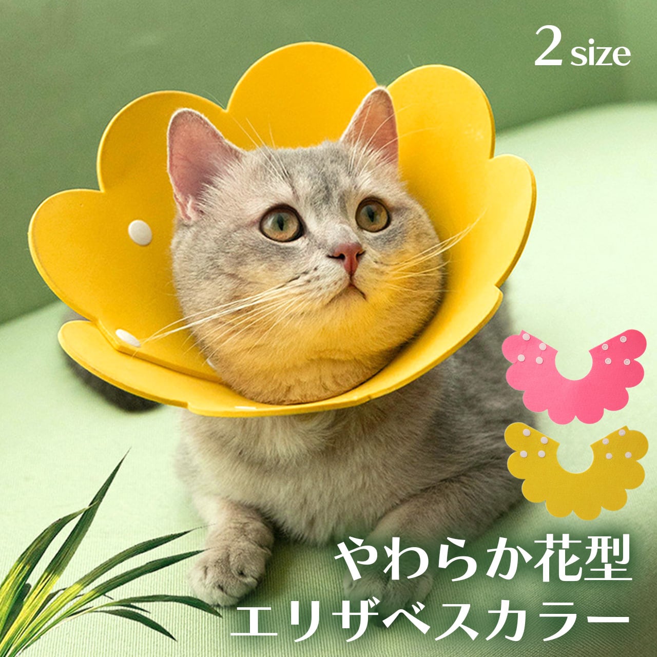 4b9e43c0a53fc4f02a8edf42371e78