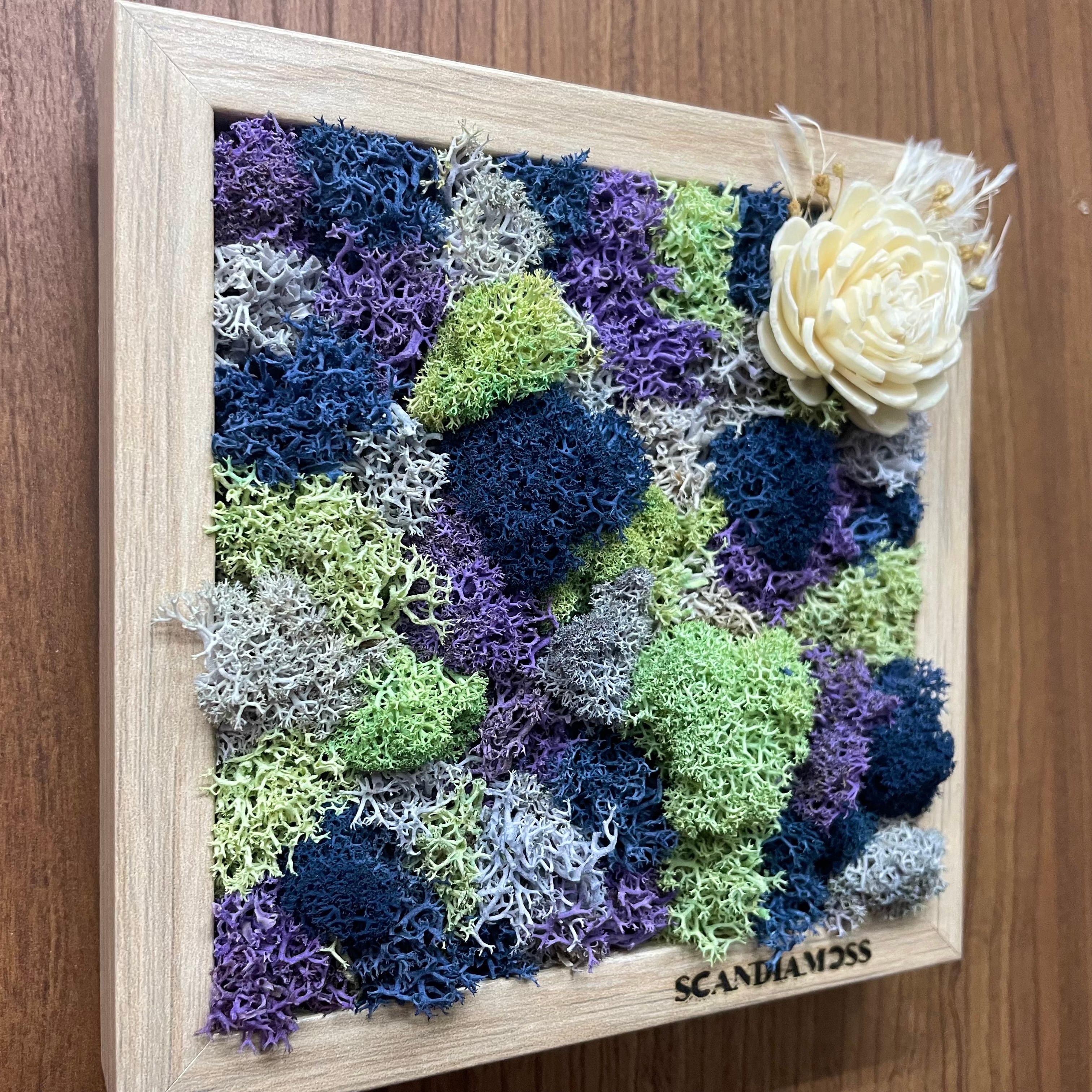 4b9f85ed295830782a8c6293c0cbbc