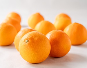 【限定100箱】 寿まどんな　超高級　愛媛県産　発送12月上旬～