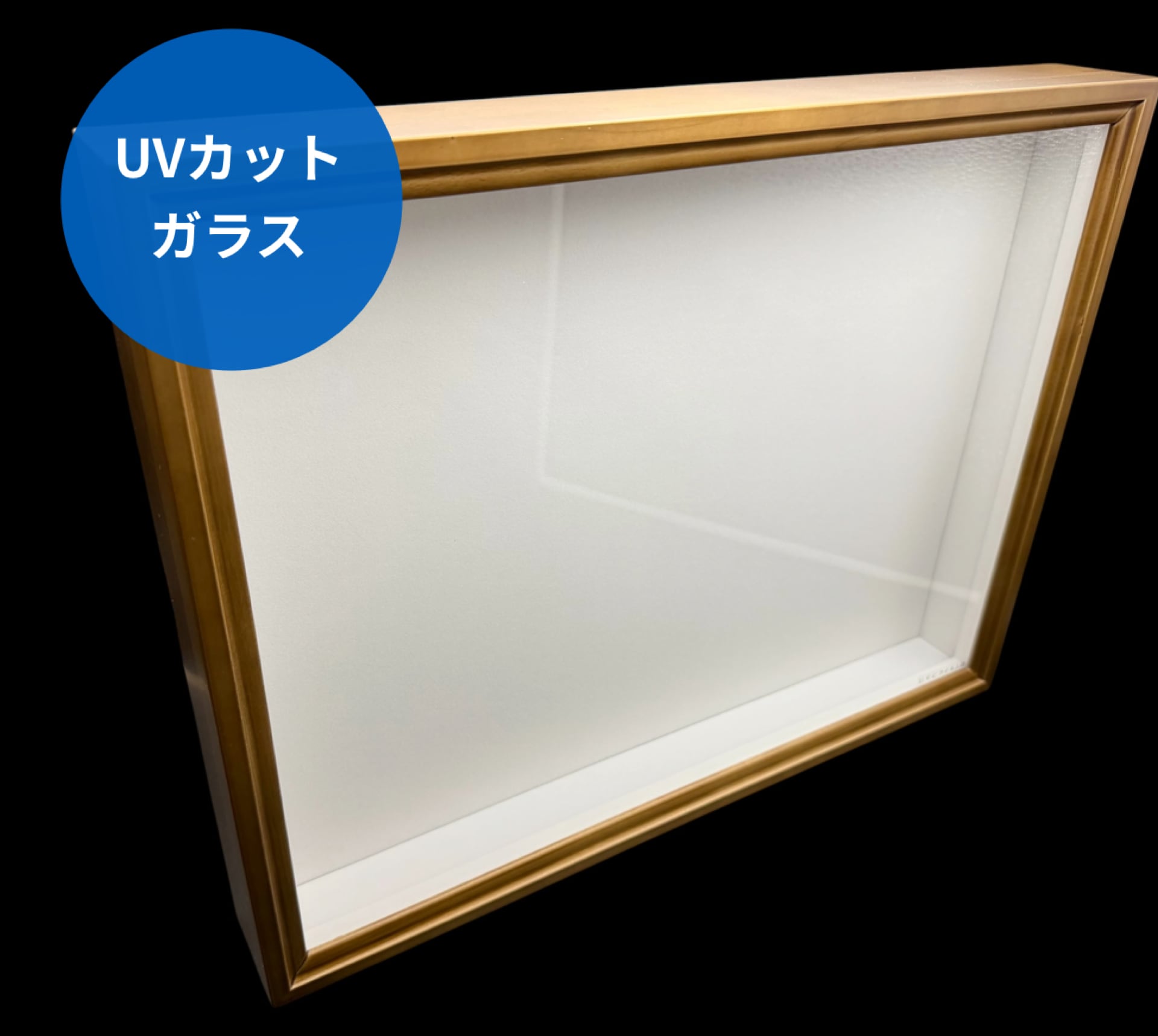 標本箱 | KPW BASE店