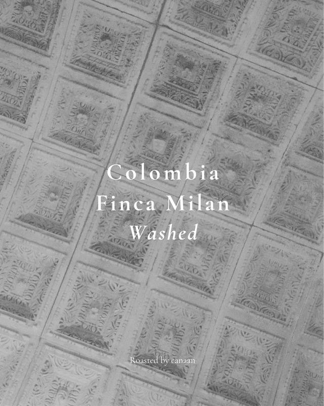 Colombia Finca Milan Washed | 100g