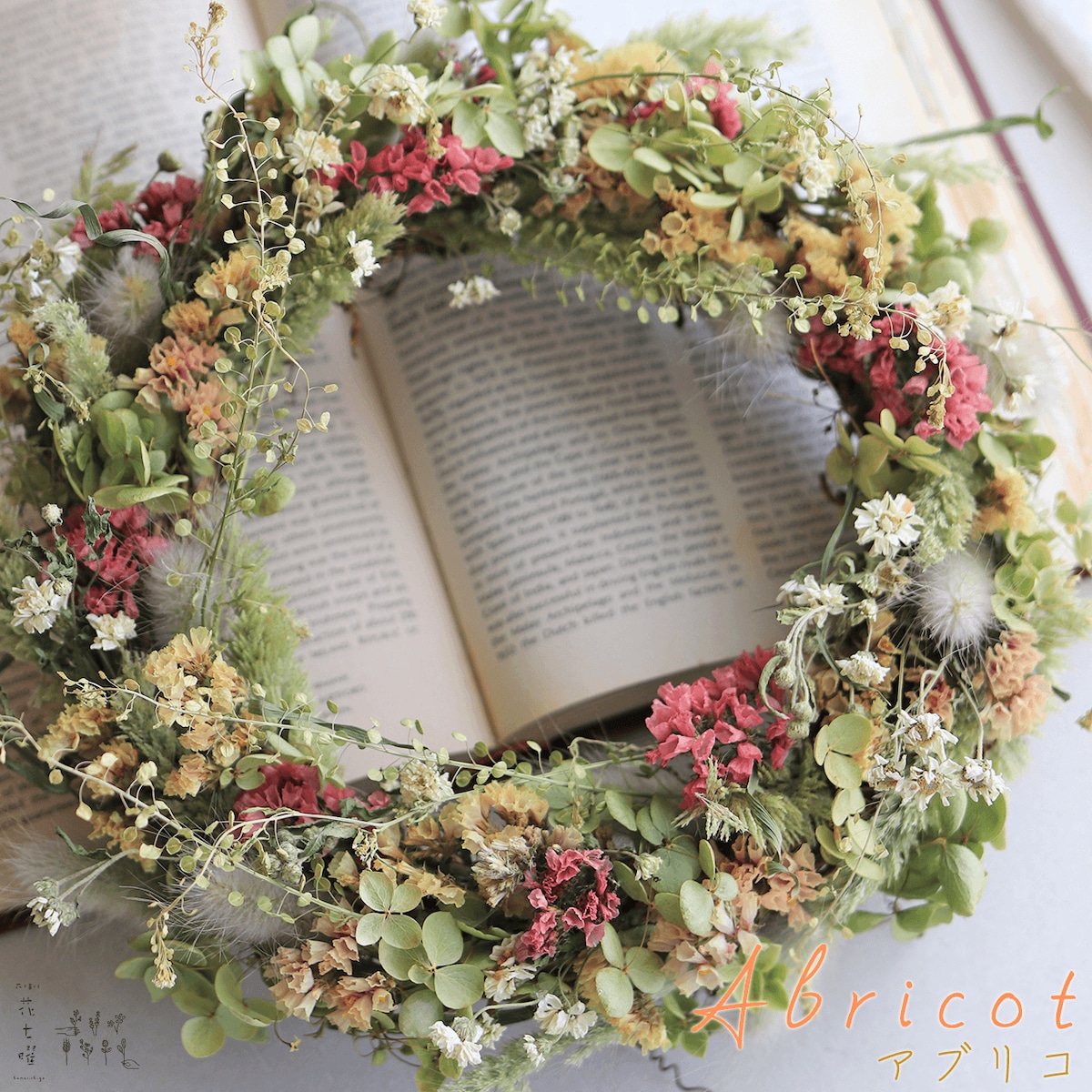 sale】アナベルとスターチスのフライングリース♡