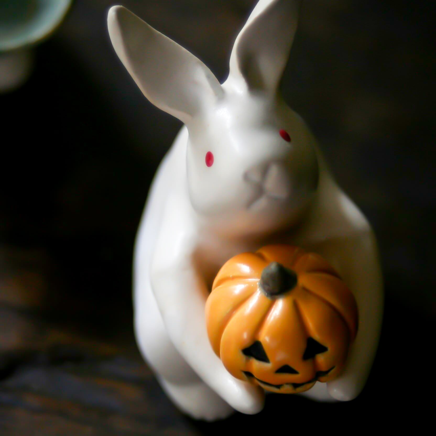 【'23秋】【ハロウィン】Rabbit うさぎ かぼちゃ