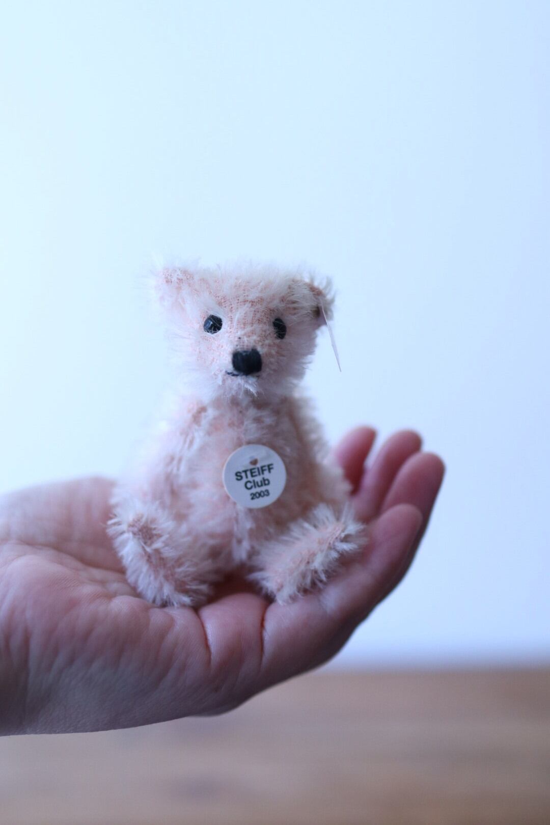 ヴィンテージ シュタイフクラブ テディベア SteiffClub2003