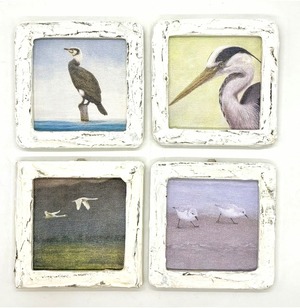 【野鳥生活】 「ちいさな複製画・小」M 〜P