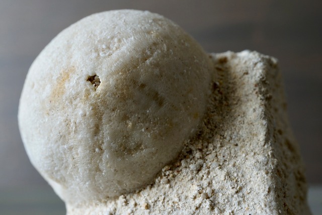 ウニ化石　母岩付き　Rhyncholampas trojanus