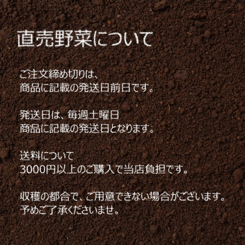 7月の朝採り直売野菜 ： ミニトマト 1袋 新鮮な夏野菜　7月第一土曜日発送予定